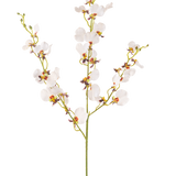 De Kunstbloem Orchidee 98 cm crème is een enkele kunstmatige crème orchidee steel met meerdere delicate bloemen en meerdere knoppen, met gele en paarse harten, geïsoleerd op een effen witte achtergrond.