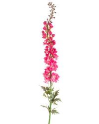 Kunstbloem Ridderspoor 137 cm felroze