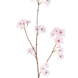 De Kunstbloem Kersenbloesem 85 cm lichtroze heeft een enkele slanke bruine steel met trosjes delicate lichtroze kersenbloesems, prachtig geïsoleerd op een witte achtergrond.
