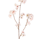 De Kunstbloem Kersenbloesem 85 cm blush heeft een enkele bruine steel met meerdere takken, elk versierd met delicate bloesemroze kersenbloesem bloemen, tegen een effen witte achtergrond.