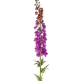 De Kunstbloem Ridderspoor 137 cm paars heeft een hoge groene stengel met diep gelobde bladeren en trossen levendige paarse bloemen langs de bovenkant, tegen een witte achtergrond.