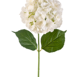 De Kunstbloem Hortensia 75 cm crème heeft een enkele crèmekleurige hortensiabloem met meerdere bloemblaadjes en drie grote groene bladeren op een lange groene steel, geïsoleerd op een witte achtergrond.