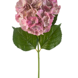 De Kunstbloem Hortensia 75 cm mauve heeft een enkele mauve hortensiabloesem met groene bladeren op een lange steel, tegen een witte achtergrond.