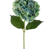 De Kunstbloem Hortensia 75 cm pauwblauw heeft een enkele blauwe kunsthortensia met ronde trossen bloemblaadjes en twee grote groene bladeren op een lange steel, geïsoleerd op een witte achtergrond.