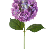 De Kunstbloem Hortensia 75 cm paars heeft een enkele kunsthortensiastam met grote, ronde trossen paarse bloemblaadjes en twee brede groene bladeren, tegen een witte achtergrond.