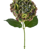 De Kunstbloem Hortensia 75 cm groen heeft een enkele hortensiastam met twee grote groene bladeren en een volle bloei van groene, paarse en bordeauxrode bloemblaadjes, tegen een witte achtergrond.