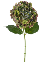 De Kunstbloem Hortensia 75 cm groen heeft een enkele hortensiastam met twee grote groene bladeren en een volle bloei van groene, paarse en bordeauxrode bloemblaadjes, tegen een witte achtergrond.