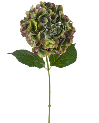 Kunstbloem Hortensia 75 cm groen