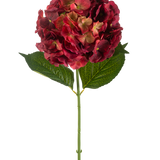De Kunstbloem Hortensia 75 cm bordeaux heeft een enkele kunsthortensiastam met bordeaux bloemblaadjes en twee grote groene bladeren, tegen een effen witte achtergrond.
