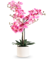 De Kunst Orchidee Real Touch 68 cm roze heeft een levendige roze orchidee met meerdere stelen en groene bladeren in een witte pot van keramiek, tegen een effen witte achtergrond.