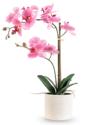 Kunst Orchidee Real Touch 60 cm roze/wit