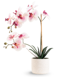Kunst Orchidee Real Touch 60 cm roze/wit