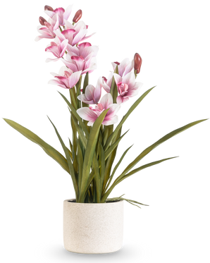 De Kunst Cymbidium Real Touch 60 cm roze heeft lange groene bladeren en meerdere roze en witte orchideeën op lange stelen, gerangschikt in een eenvoudige off-white pot met textuur tegen een effen achtergrond.