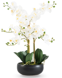 Kunst Orchidee Real Touch 50 cm wit in pot zwart