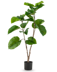 Kunstplant Ficus Rumphii 120 cm