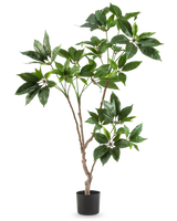 De Kunstplant Schefflera 120 cm heeft meerdere slanke bruine stengels met trossen grote, glanzend groene bladeren in een kleine zwarte pot, tegen een effen witte achtergrond.
