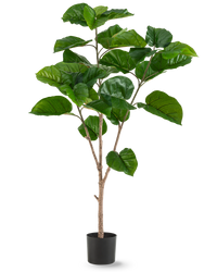 Kunstplant Ficus Rumphii 150 cm