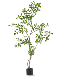 Kunstplant Terminalia Catappa 120 cm