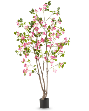 De Kunstplant Bougainvillea 180 cm is een hoge kunstplant met meerdere bruine stengels, groene bladeren en felroze bloemen in een zwarte pot, tegen een effen witte achtergrond.