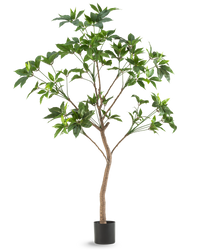Kunstplant Schefflera 180 cm