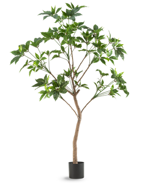 De Kunstplant Schefflera 180 cm is een hoge kunstboom met groene bladeren en een slanke bruine stam in een zwarte pot, afgebeeld tegen een effen witte achtergrond.