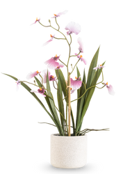Kunst Oncidium Real Touch 48 cm roze
