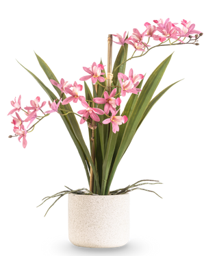 De Kunstplant Mini Cymbidium Real Touch 45 cm roze heeft lange groene bladeren en verschillende roze bloemstelen, gerangschikt in een eenvoudige pot met witte textuur en tegen een effen achtergrond.