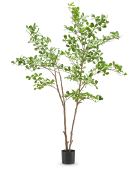 Kunstplant Terminalia Catappa 180 cm