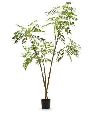De Kunstplant Mahonia 210 cm is een hoge kunstplant in pot met slanke bruine stengels en lange, smalle groene bladeren, afgebeeld tegen een effen witte achtergrond.