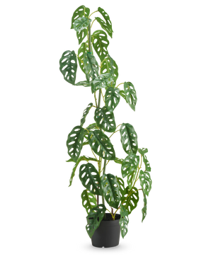 De Kunstplant Monstera 90 cm groen is een hoge, groene kunstplant met ovale bladeren met meerdere gaten, weergegeven in een pot tegen een effen witte achtergrond.