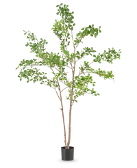 Kunstplant Terminalia Catappa 150 cm