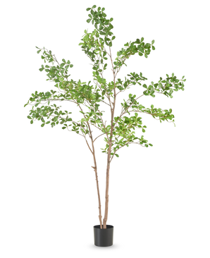 De Kunstplant Terminalia Catappa 210 cm heeft dunne bruine stammen en weelderige groene bladeren, in een eenvoudige zwarte pot tegen een effen witte achtergrond.