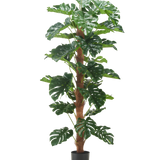 Kunstplant Monstera 180 cm heeft grote, glanzend groene bladeren en een bruine stengel met textuur in een eenvoudige zwarte pot, tegen een effen witte achtergrond.