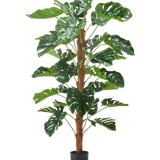 De Kunstplant Monstera 150 cm is een hoge kunstplant met grote groene gespleten bladeren, weergegeven in een kleine zwarte pot op een effen witte achtergrond.