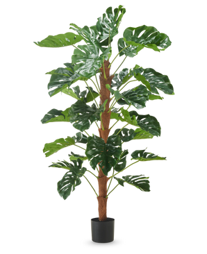 De Kunstplant Monstera 150 cm is een hoge kunstplant met grote groene gespleten bladeren, weergegeven in een kleine zwarte pot op een effen witte achtergrond.