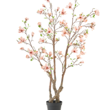De Kunstplant Magnolia 220 cm is een kunstmagnoliaboom in pot met meerdere bruine takken, lichtroze bloemen en groene bladeren in een eenvoudige zwarte pot tegen een witte achtergrond.
