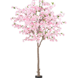 De Kunstplant Kersenbloesem 240 cm heeft een bruine stam met talrijke takken die versierd zijn met roze bloemen en enkele groene blaadjes, geplaatst in een zwarte pot tegen een effen witte achtergrond.