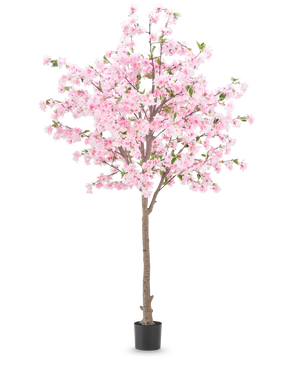 De Kunstplant Kersenbloesem 240 cm heeft een bruine stam met talrijke takken die versierd zijn met roze bloemen en enkele groene blaadjes, geplaatst in een zwarte pot tegen een effen witte achtergrond.