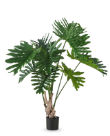 De Kunstplant Philodendron 150 cm heeft grote, glanzende, diep gelobde groene bladeren aan lange stengels, tegen een effen witte achtergrond.
