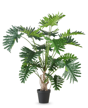 De Kunstplant Philodendron 180 cm heeft grote, glanzende, diep gelobde groene bladeren en is afgebeeld tegen een effen witte achtergrond.