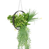 De Kunst hangplant varen UV 30 cm in ring zwart is een hangende ronde metalen plantenbak met weelderig kunstgroen varenblad, slepende bladeren en een zilveren ketting, tegen een witte achtergrond.