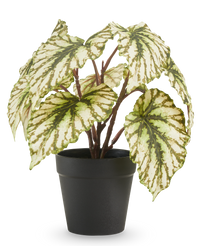 Kunst Begonia in pot groen UV 25 cm