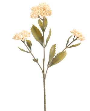 De Kunstbloem Kalanchoë 47 cm creme heeft een enkele kunststengel met drie trossen kleine, licht crème bloemen en groen gekartelde bladeren, tegen een effen witte achtergrond.