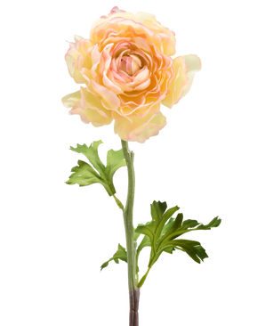 De Kunstbloem Ranonkel 51 cm zalm roze heeft een enkele kunst ranonkel bloem in zachte zalmroze tinten met gelaagde bloemblaadjes en groene blaadjes op een lange steel, tegen een witte achtergrond.