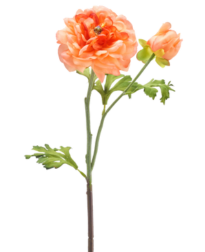 Een enkele steel van de Kunstbloem Ranonkel 51 cm lichtroze met een grote lichtroze bloem in volle bloei, een kleinere knop en groene bladeren tegen een witte achtergrond.