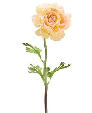 Een Kunstbloem Ranonkel 51 cm licht wit: een enkele bleke kunst ranonkelbloem met lichtwitte bloemblaadjes, groene bladeren en een lange steel tegen een witte achtergrond.