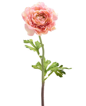 De Kunstbloem Ranonkel 51 cm roze heeft een enkele roze ranonkel met gelaagde bloemblaadjes en groene bladeren op een lange steel, geïsoleerd tegen een witte achtergrond.