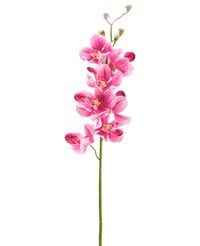 Kunstbloem Orchidee 55 cm mauve