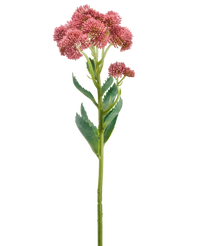Kunstbloem Sedum 57 cm mauve