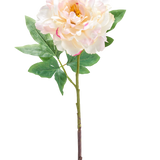 De Kunstbloem Peony 61 cm creme is een enkele kunstmatige lichtroze en crème pioenbloem met groene bladeren en een lange steel, afgebeeld tegen een witte achtergrond.
